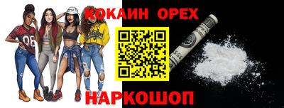 шишки Кингисепп
