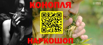шишки Кингисепп