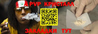 шишки Кингисепп