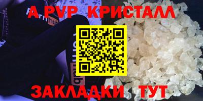 шишки Кингисепп